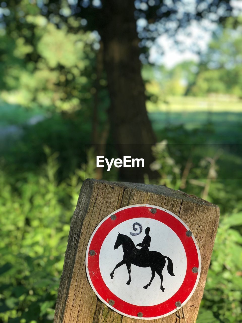 Close-up of warning sign on tree trunk