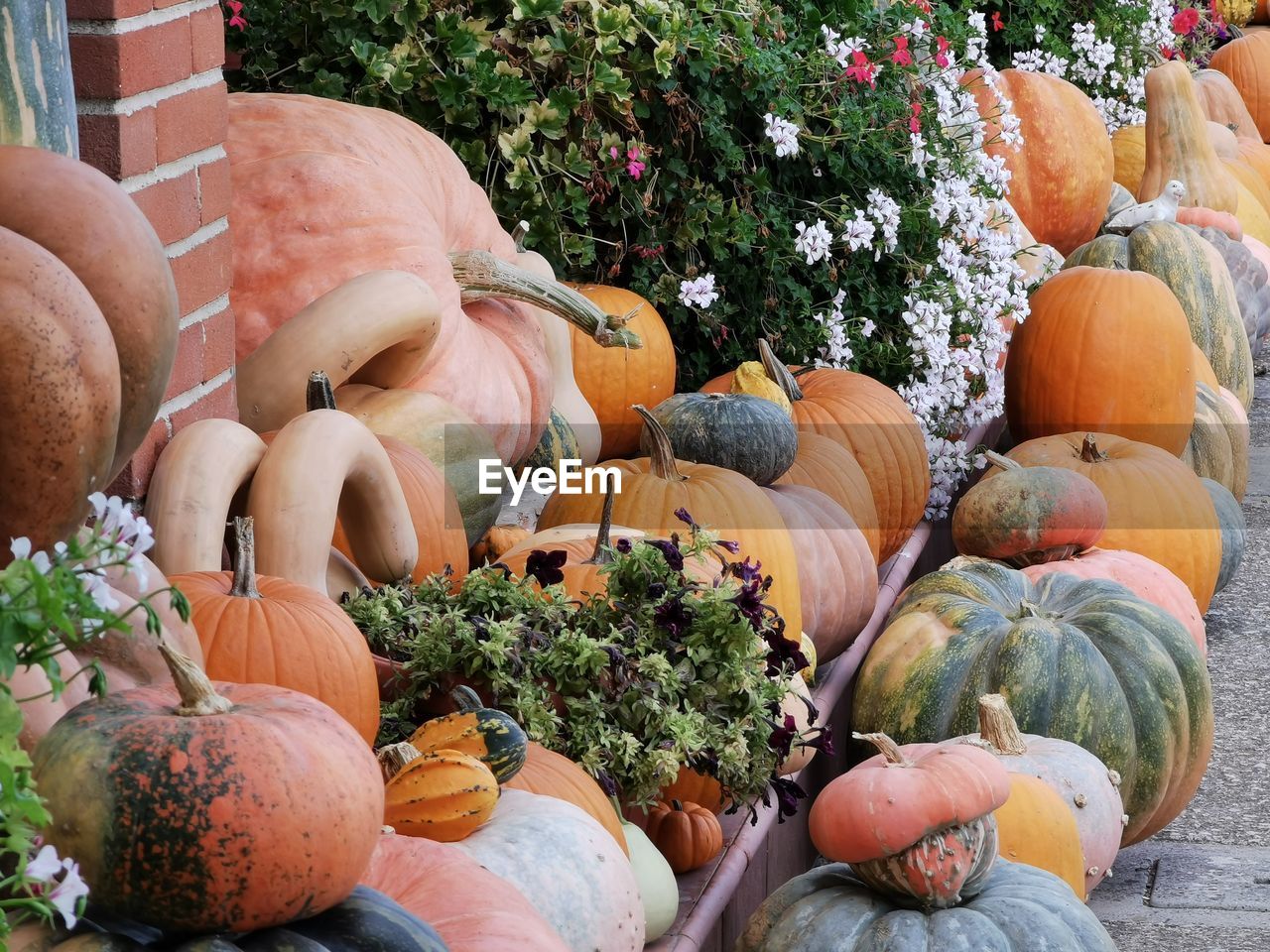 Pumpkins for sale at market