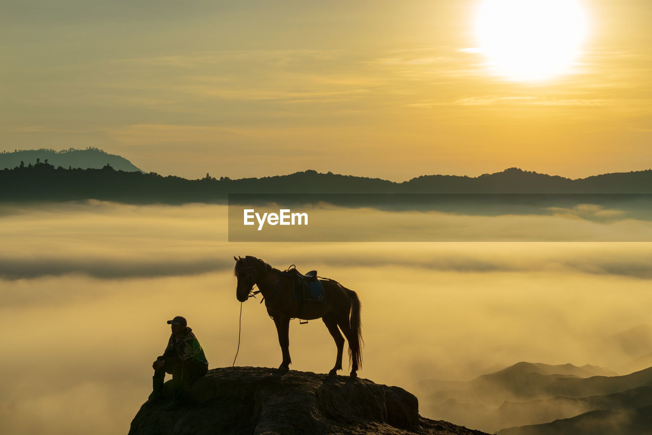 Silhouette horse on mountain against sky during sunset