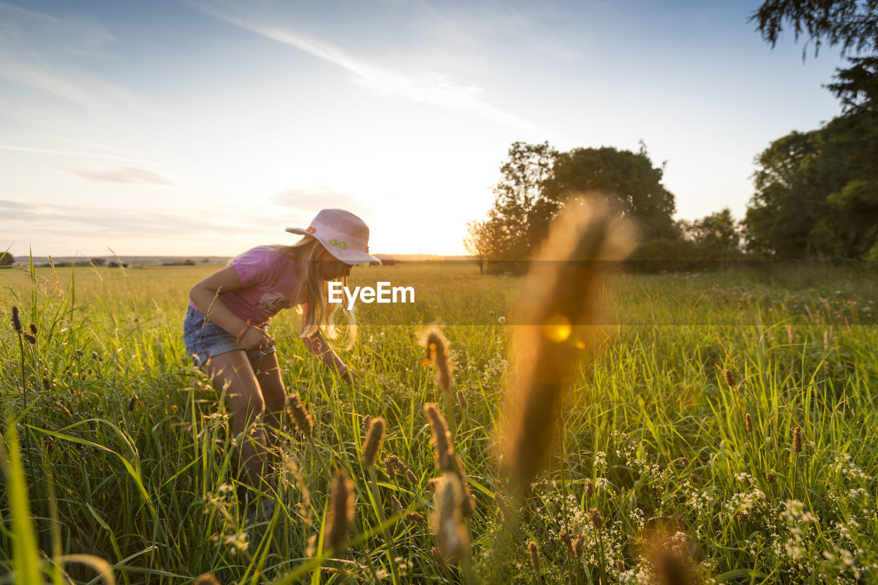 Cute girl standing amidst plants against sky during sunset