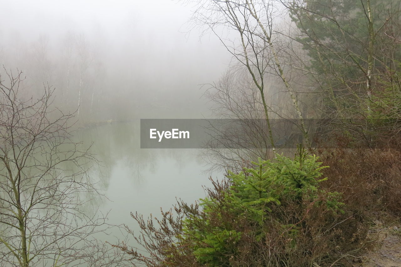 SCENIC VIEW OF LAKE AGAINST TREES