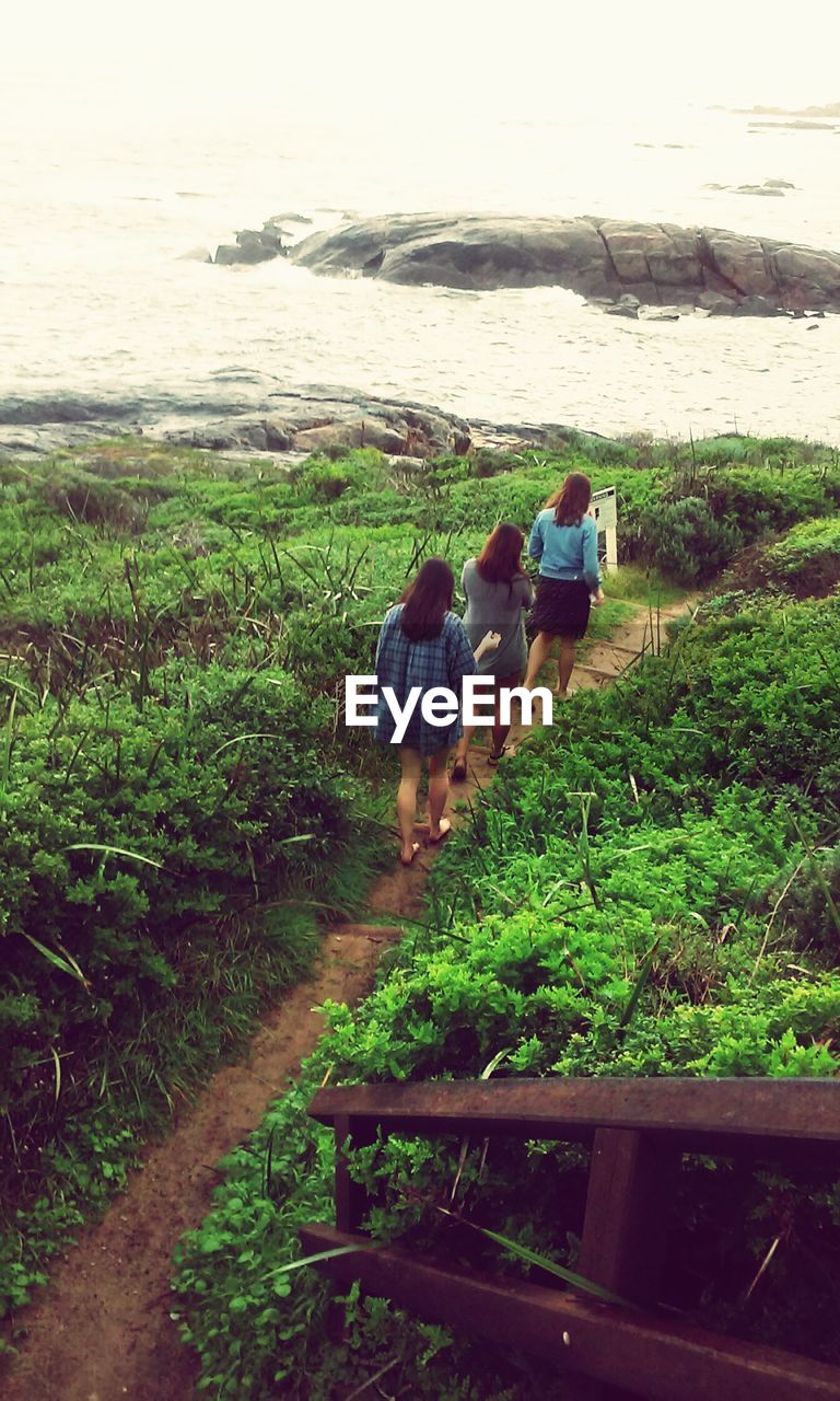 High angle view of women walking on footpath at beach