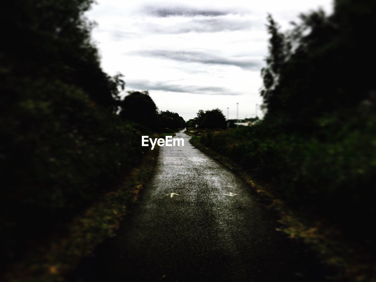 Empty road amidst trees against cloudy sky