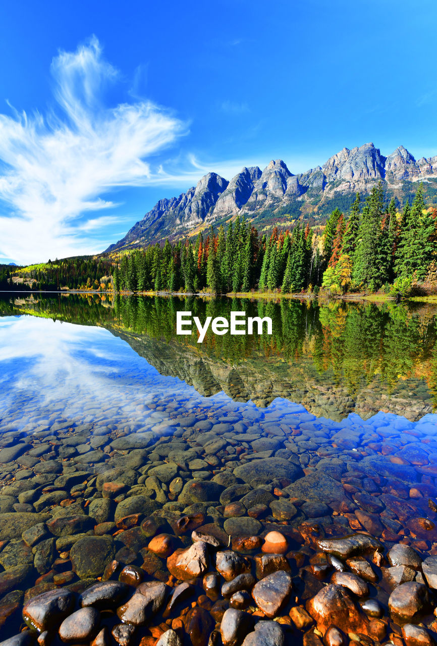 Scenic view of lake in forest against sky