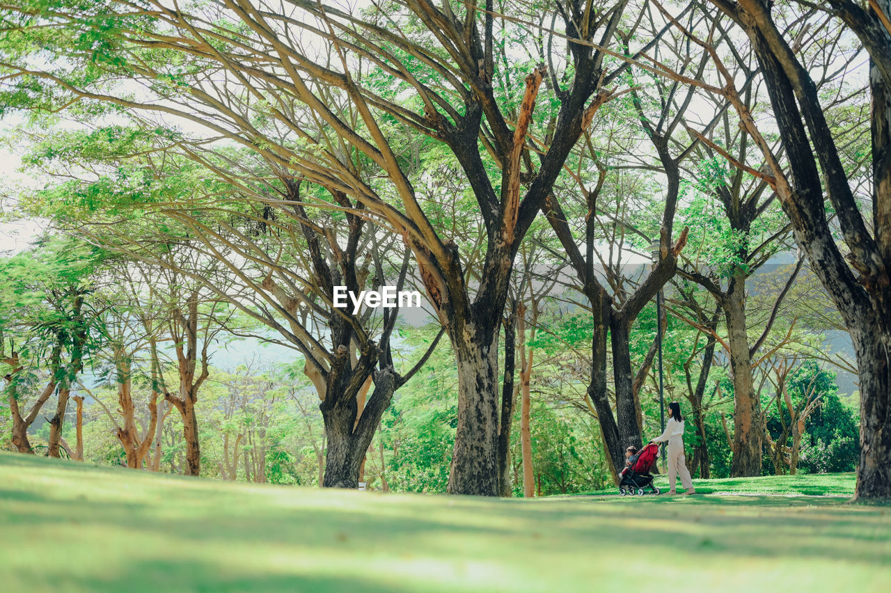 MAN SITTING BY TREE TRUNK