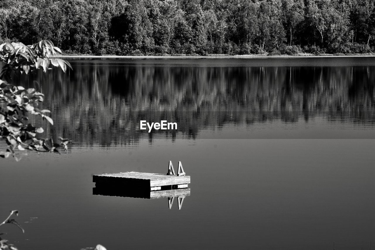 Reflection of trees in lake