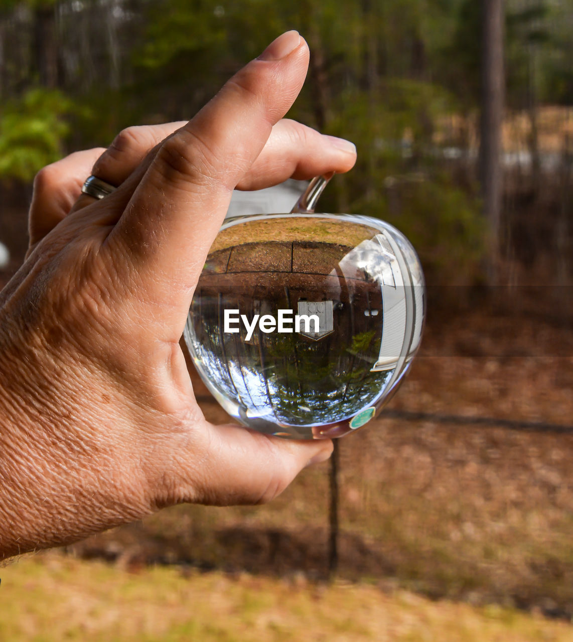 Cropped hand holding crystal ball