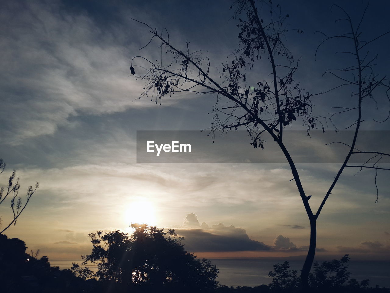 LOW ANGLE VIEW OF SILHOUETTE TREE AGAINST SUNSET SKY