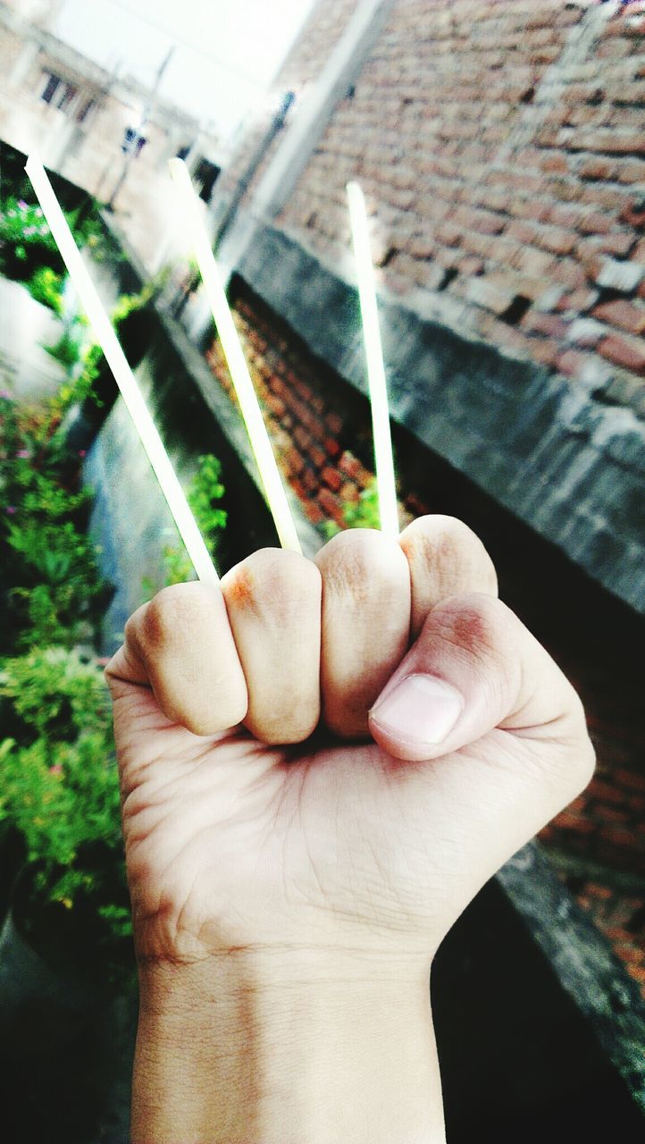 CLOSE-UP OF HAND HOLDING LEAF
