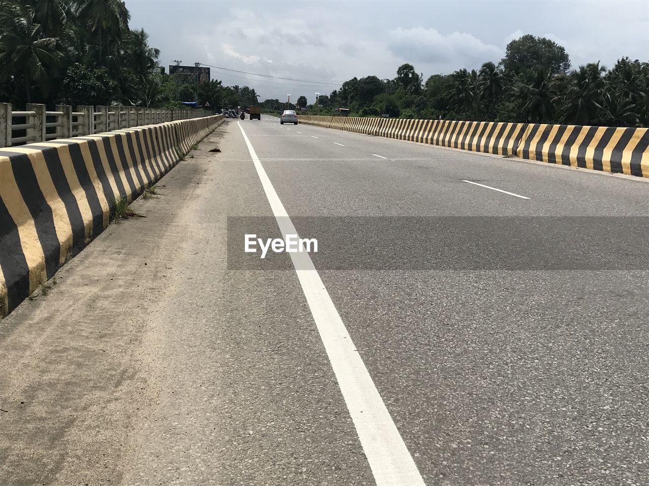 SURFACE LEVEL OF ROAD BY TREES IN CITY