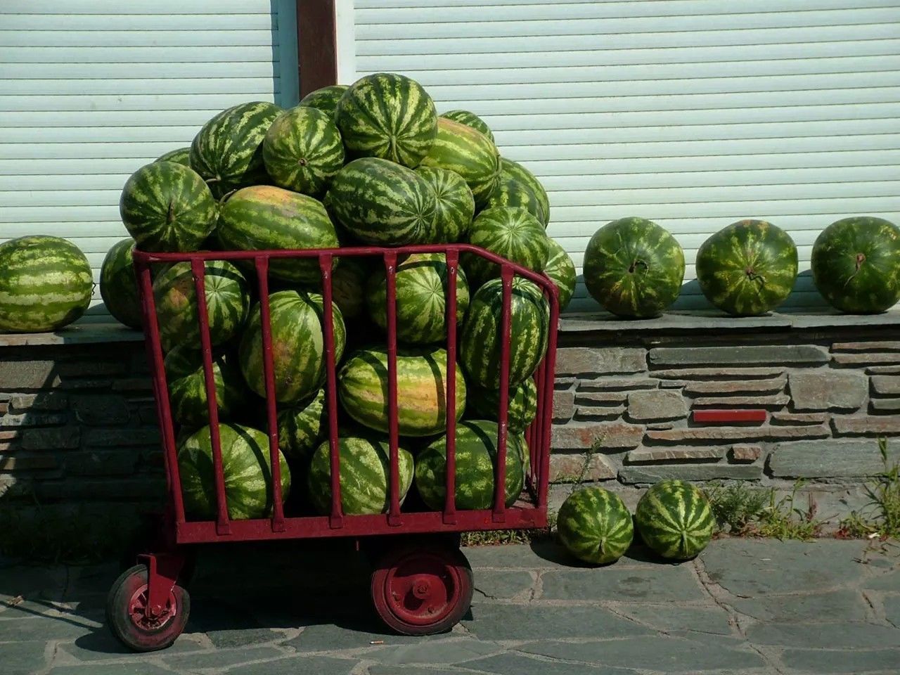 Cart of watermelons for sale