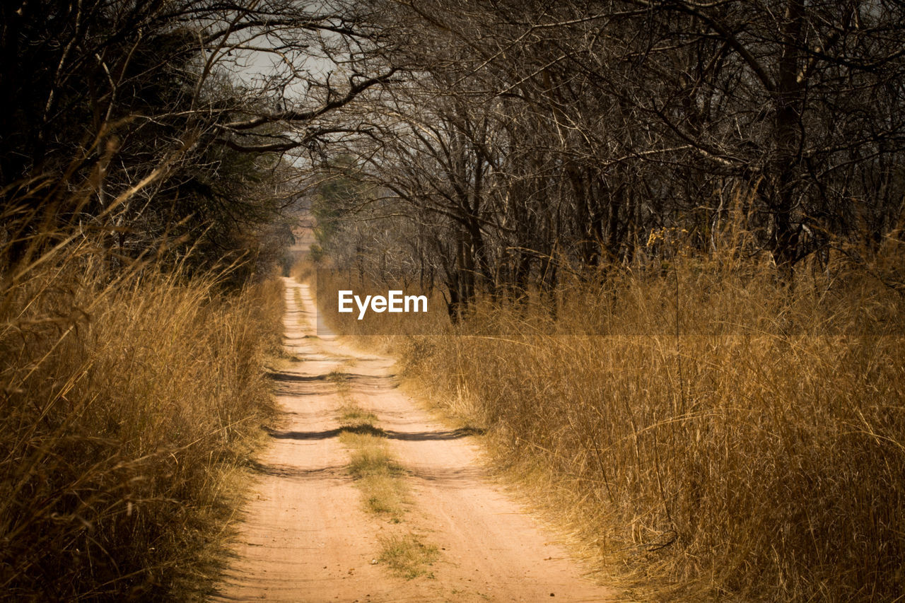 Dirt road passing through field