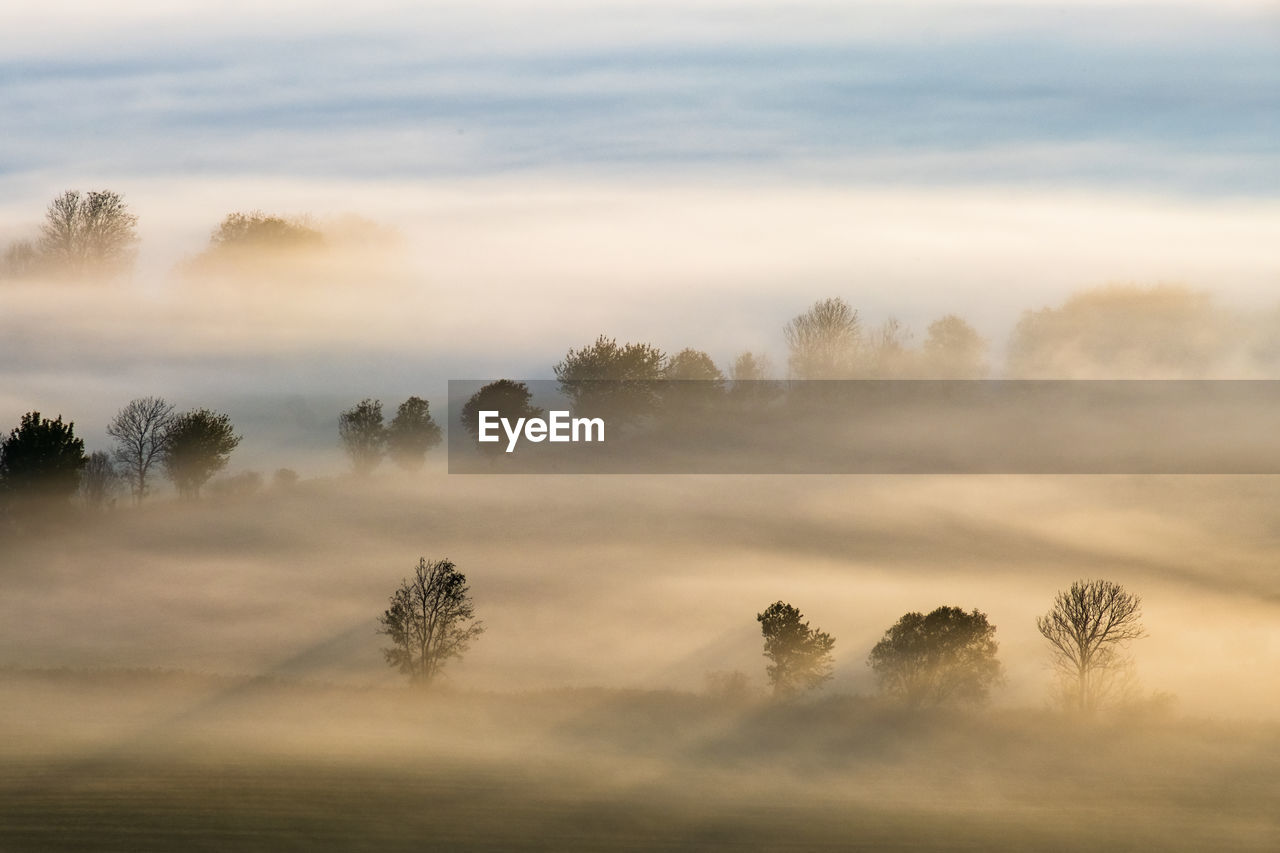 Aerial view at a misty sunrise in the countryside