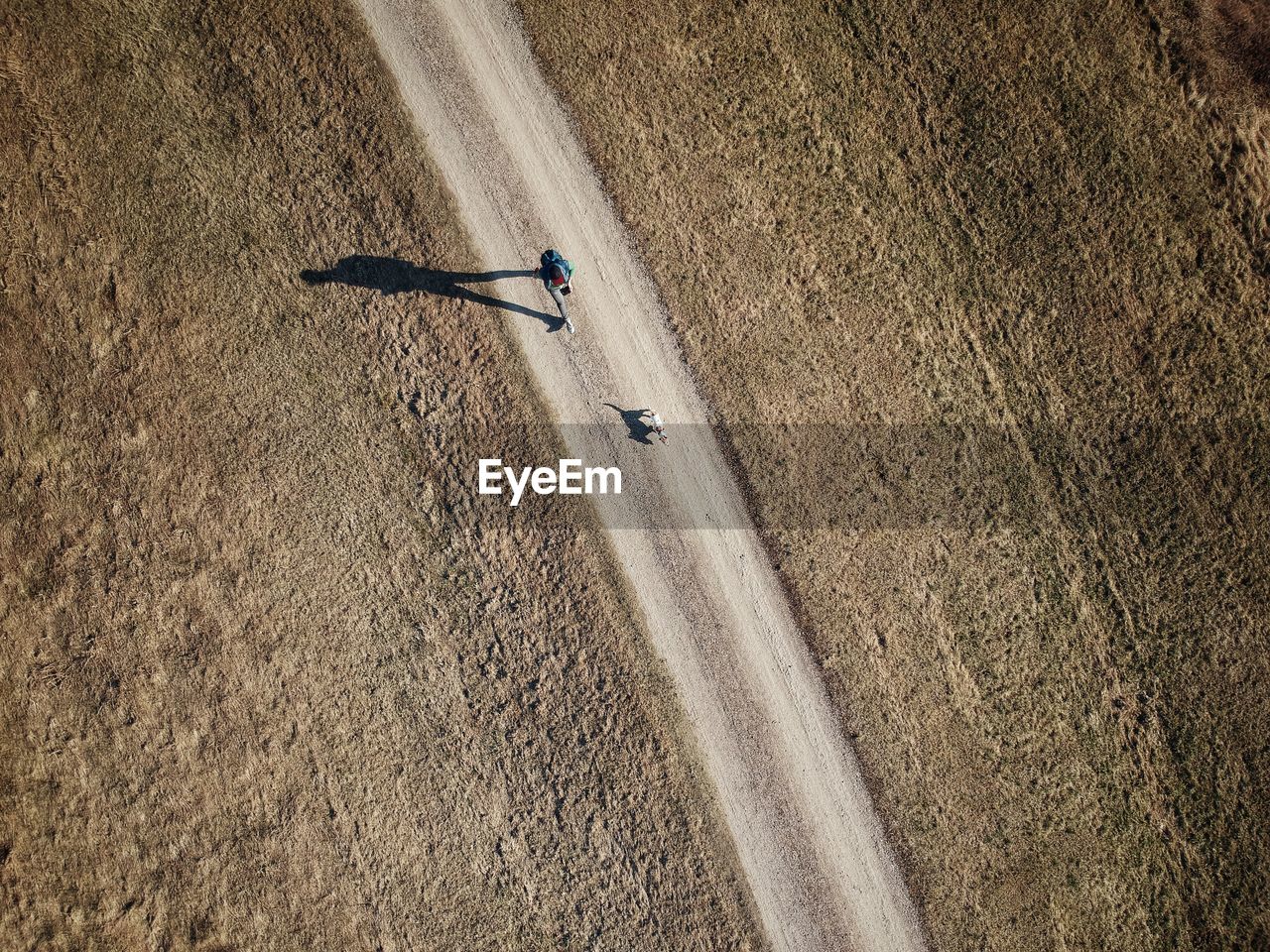 Directly above shot of man and dog running on road