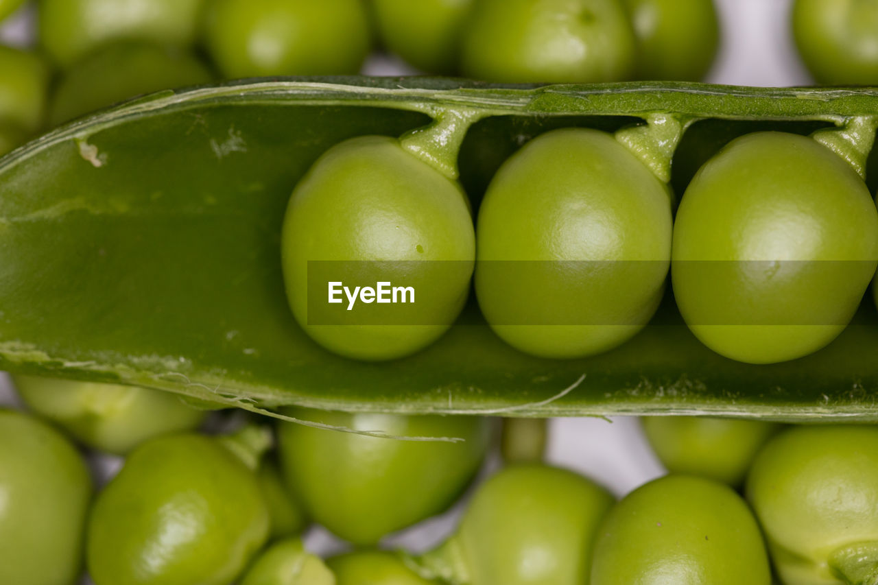 FULL FRAME SHOT OF FRUITS