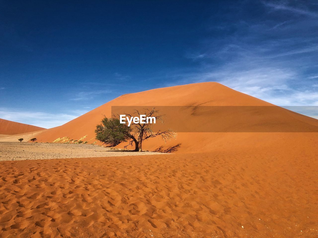 Scenic view of desert against sky