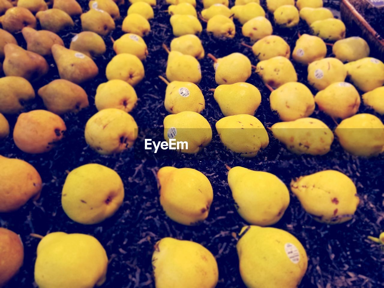 HIGH ANGLE VIEW OF FRESH VEGETABLES IN CONTAINER