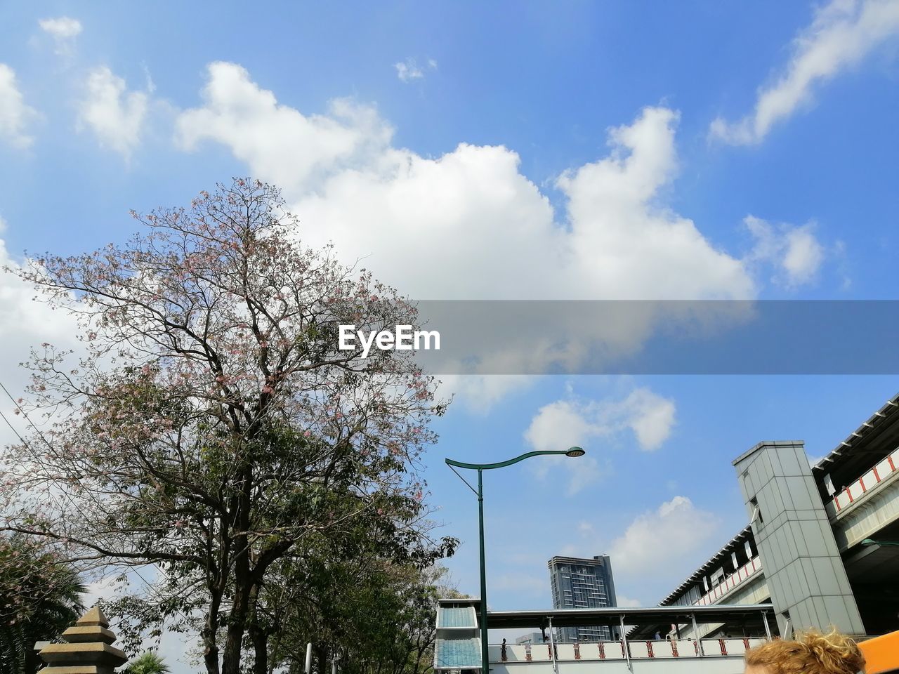 LOW ANGLE VIEW OF BUILDING AND TREE AGAINST SKY