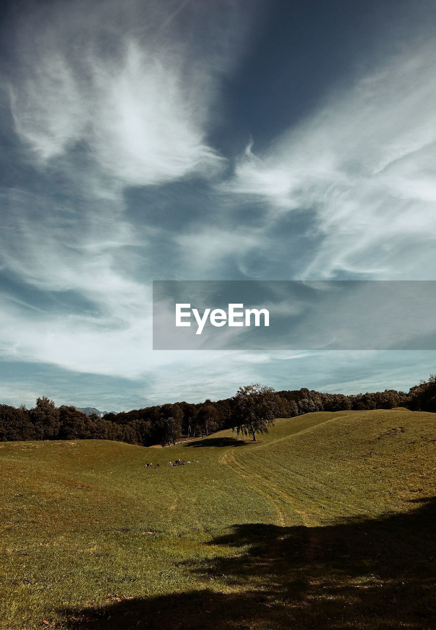 Scenic view of agricultural field against sky