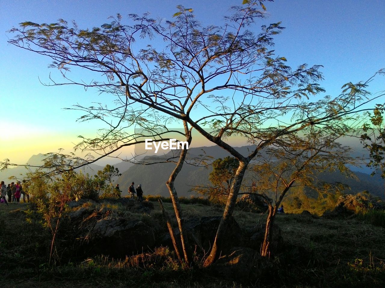 People and trees on mountain during sunset