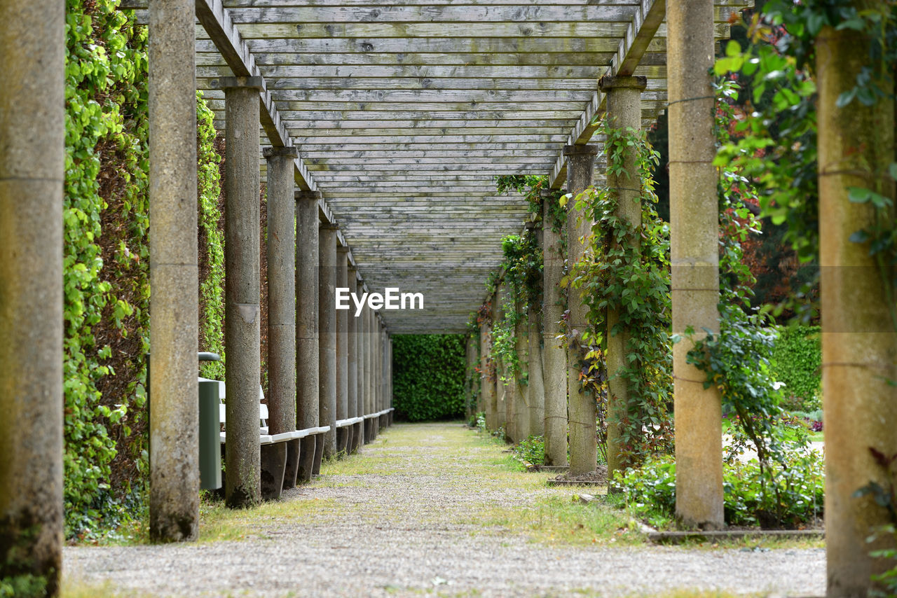 Long alley with a pergola in the park