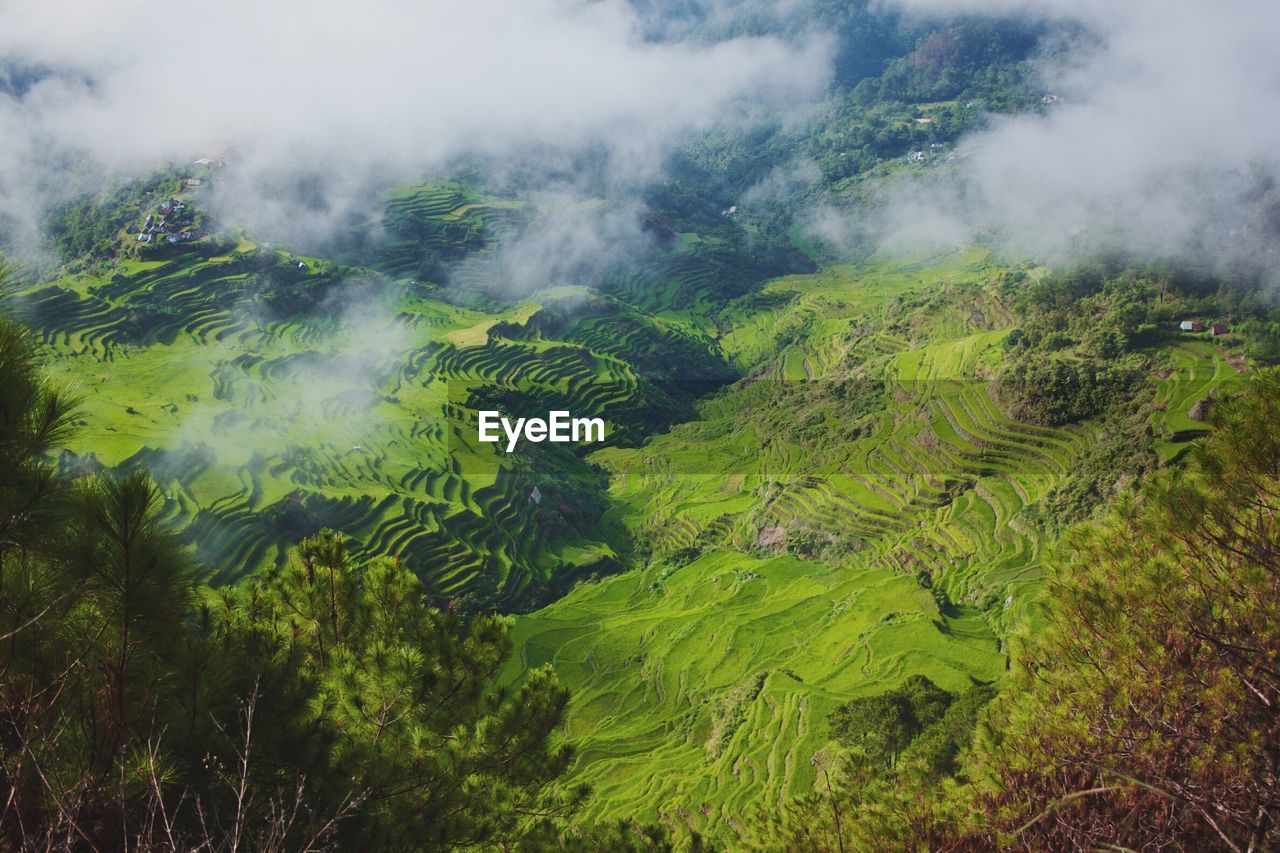 Scenic view of landscape against cloudy sky