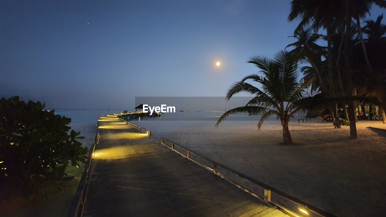 SCENIC VIEW OF PALM TREES ON BEACH