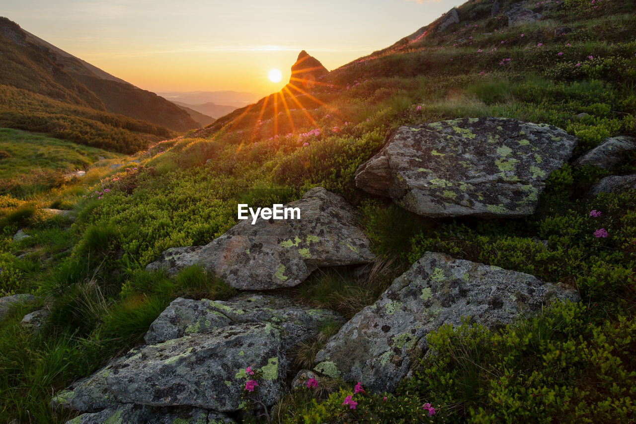 Scenic view of mountains against sky during sunrise in rodnei mountains 