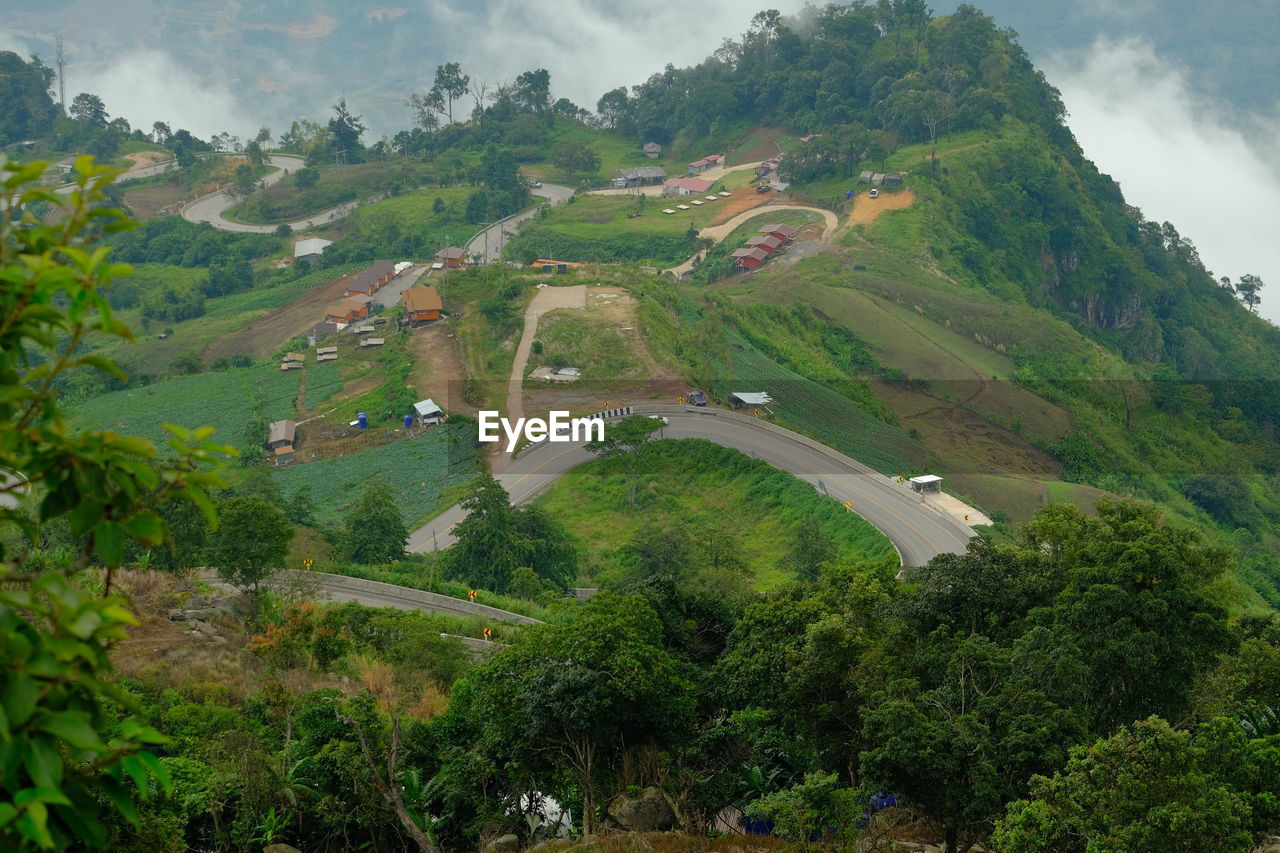 High angle view of trees and mountains