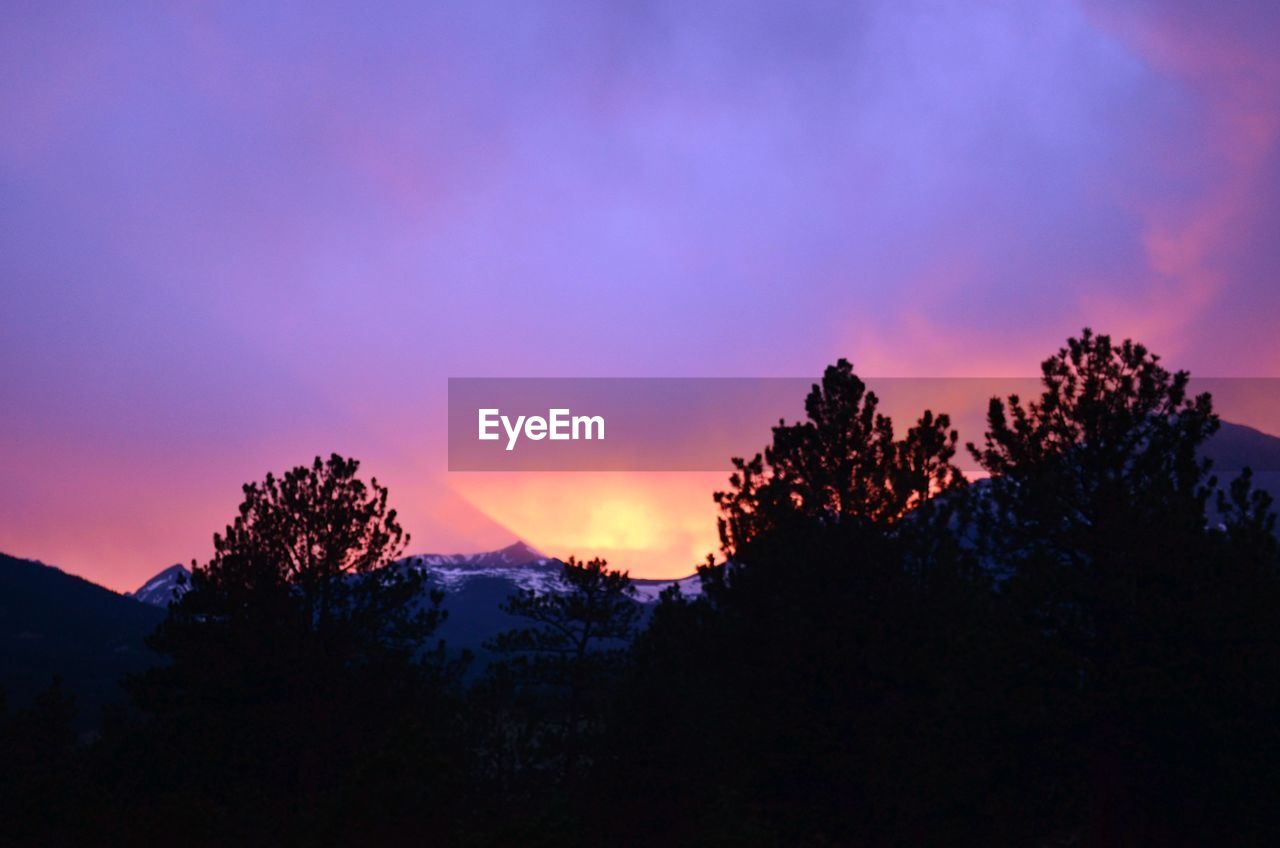 SILHOUETTE OF TREES AGAINST DRAMATIC SKY