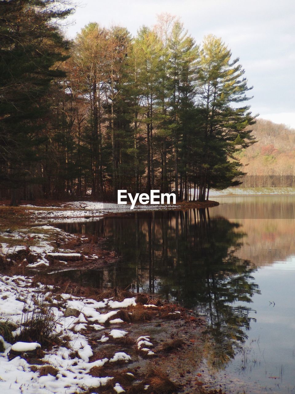 Scenic view of lake by tree during winter