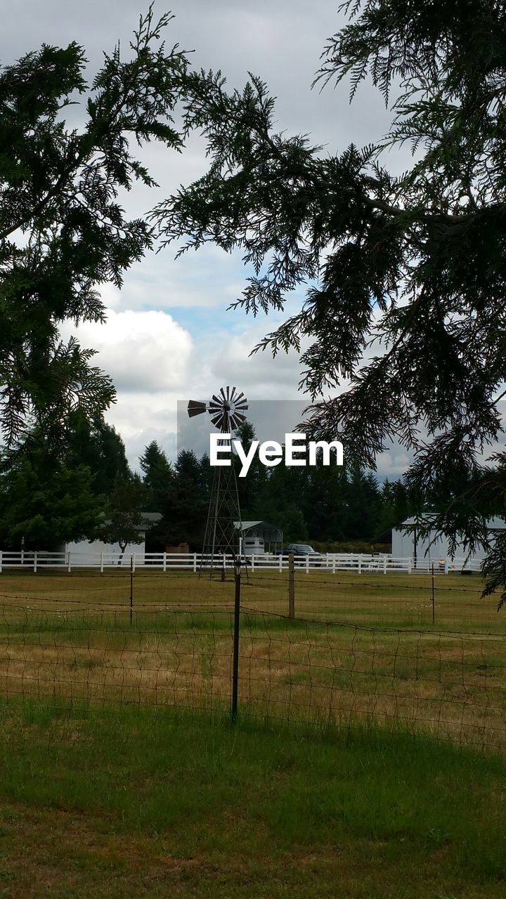 TREES ON GRASSY FIELD AGAINST CLOUDY SKY