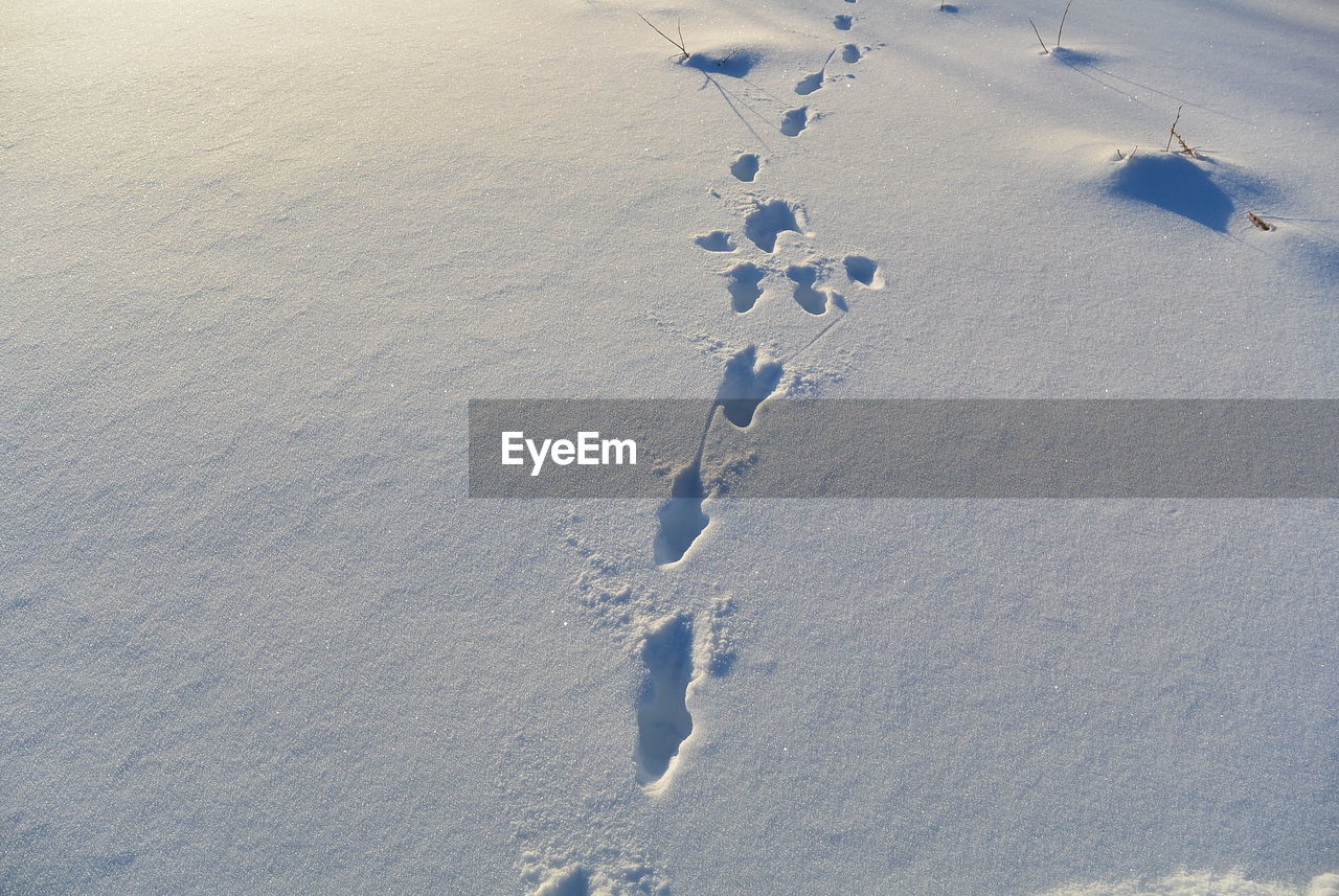 HIGH ANGLE VIEW OF FOOTPRINTS ON SNOW