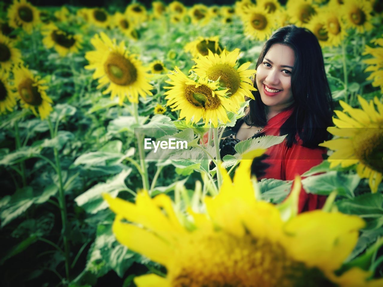 Portrait of smiling woman in sunflower field
