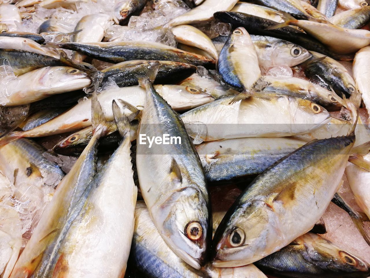 CLOSE-UP OF FISH FOR SALE AT MARKET