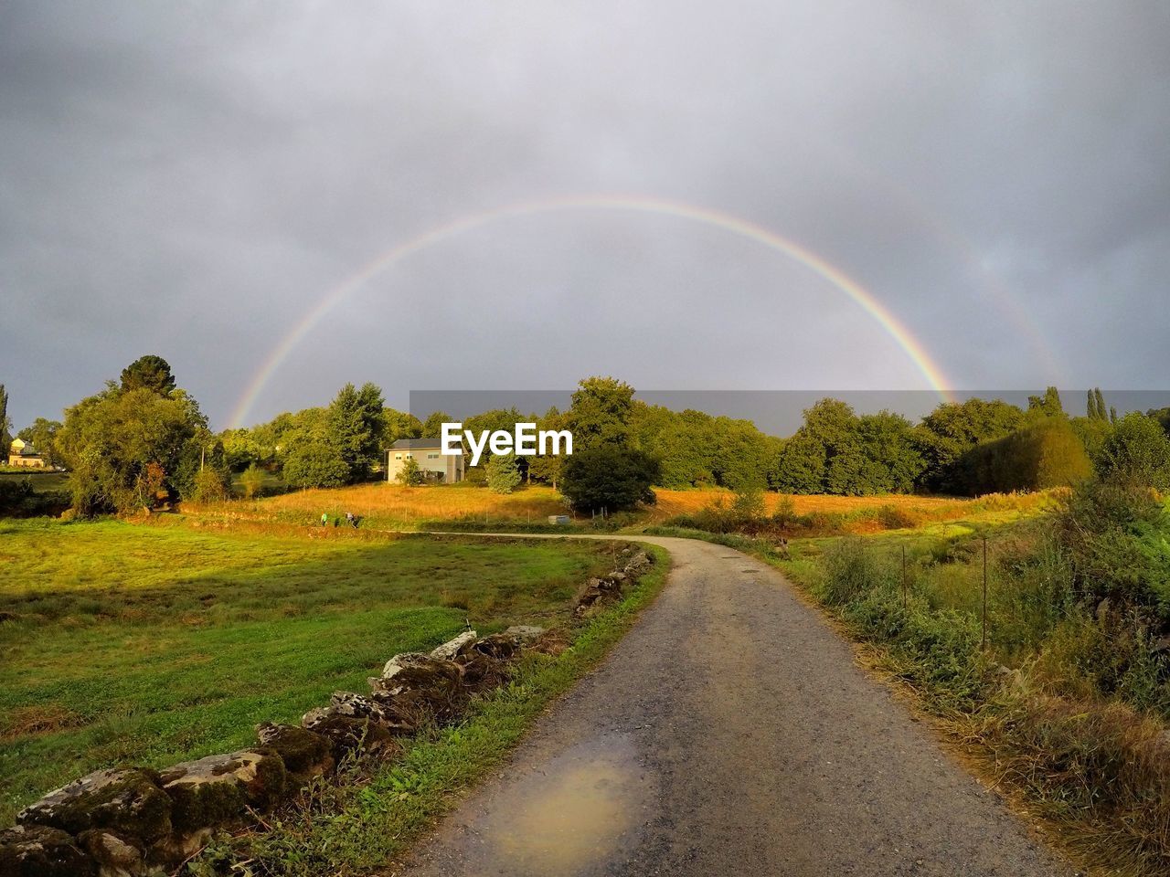 SCENIC VIEW OF RAINBOW OVER TREES ON FIELD AGAINST SKY