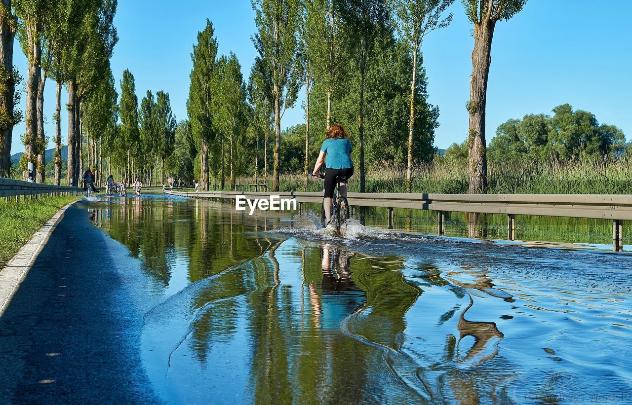 Rear view of women cycling in flooding street against trees