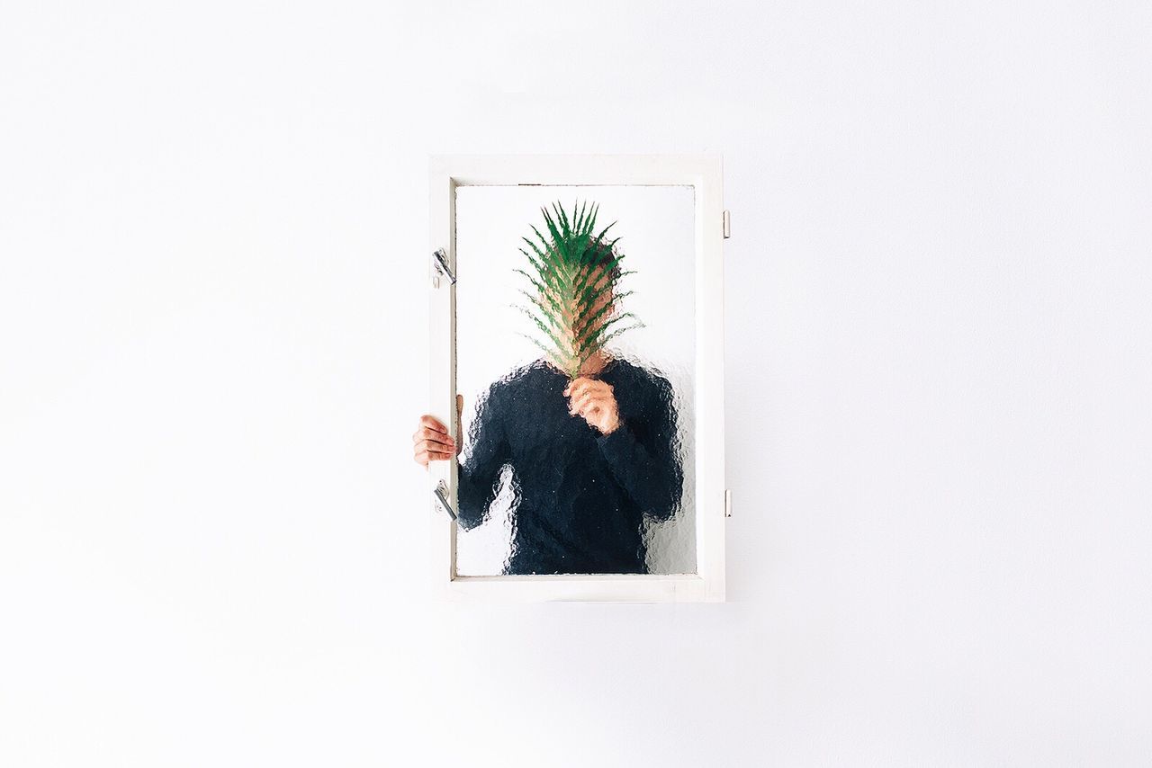 POTTED PLANT AGAINST WALL