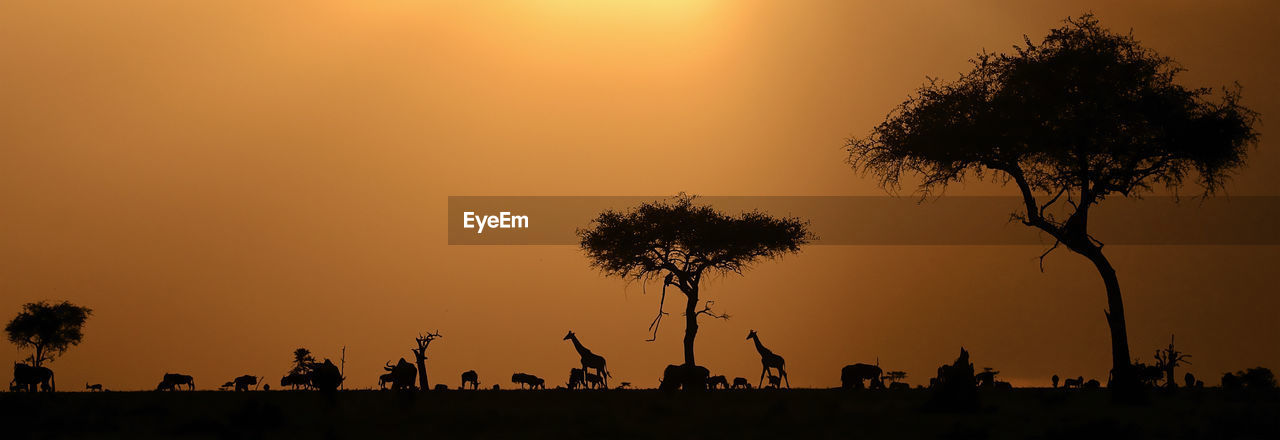 Silhouette of savanna animals and trees against sky during sunset