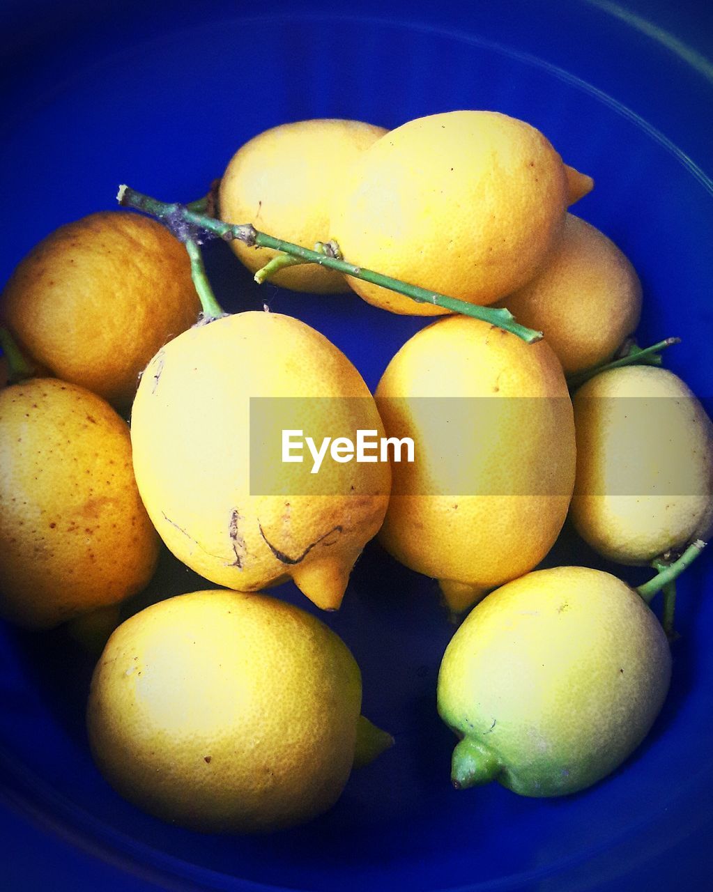 CLOSE-UP OF FRUITS IN BLUE CONTAINER