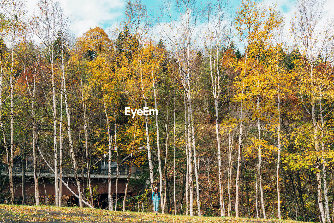 Woman walking on field in forest during autumn