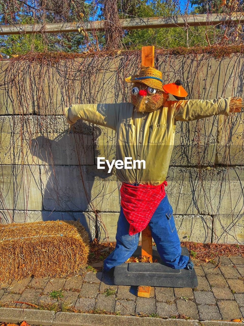 one person, full length, clothing, men, day, hat, autumn, standing, art, agriculture, nature, outdoors, rear view, yellow, adult, occupation, lifestyles, fence, casual clothing, working, traditional clothing, person, protection, wall, sunlight