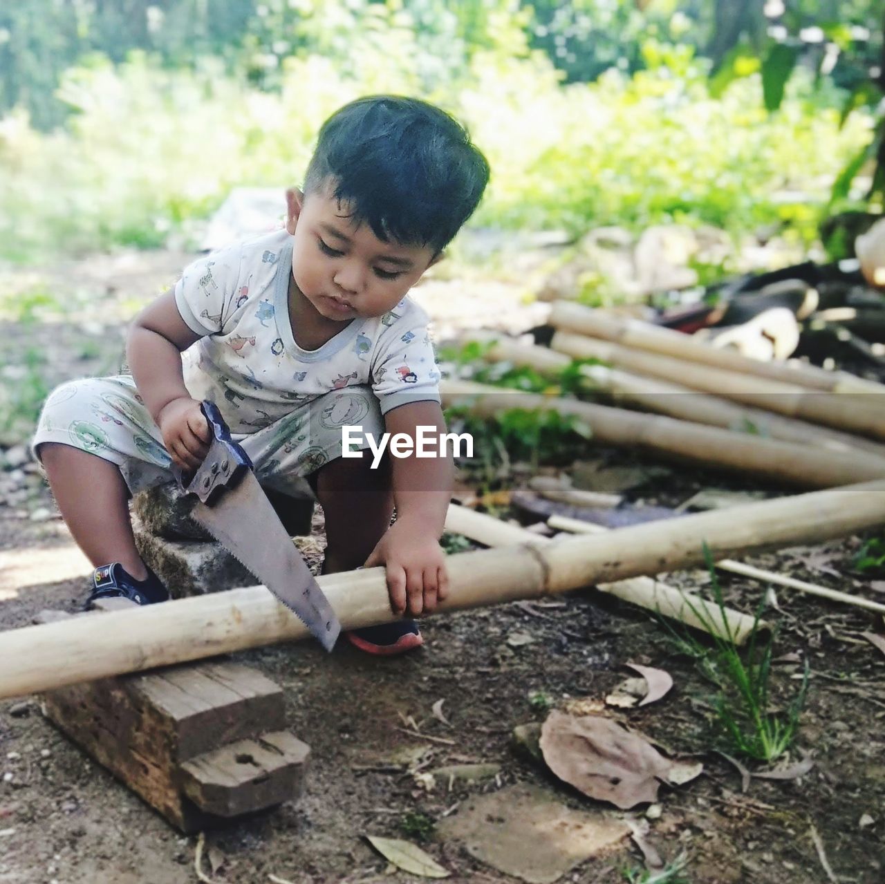 Learning to cut bamboo, he is my son