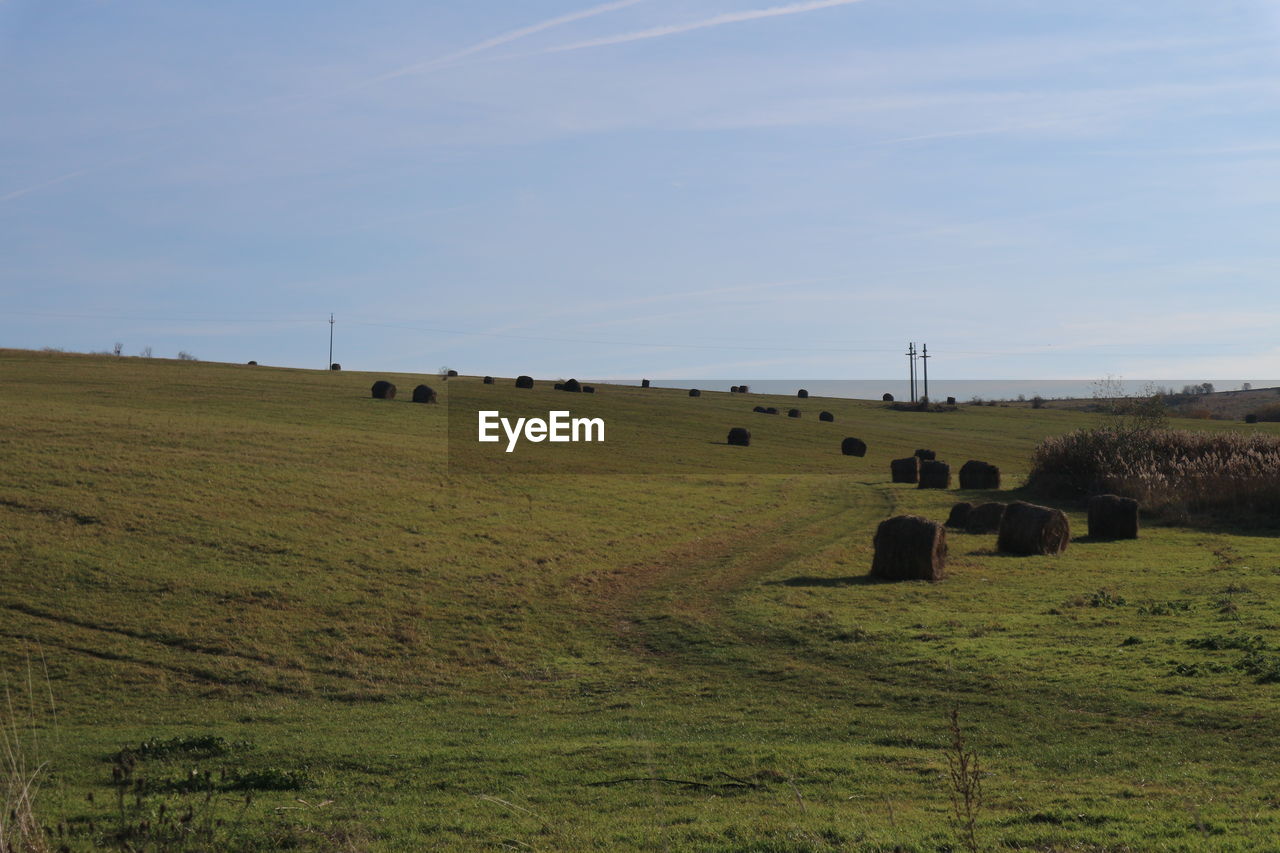 HAY BALES ON AGRICULTURAL FIELD AGAINST SKY