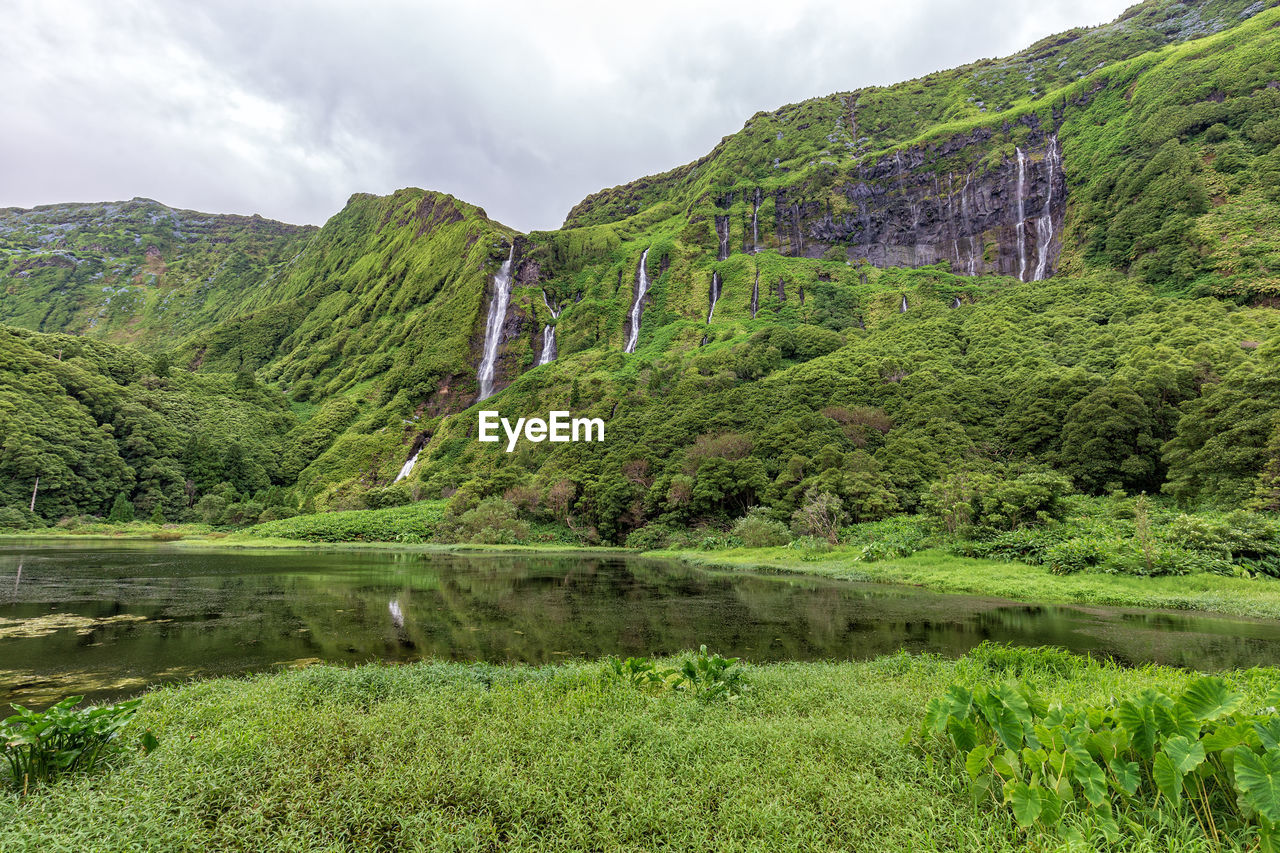 SCENIC VIEW OF LAKE AND TREES AGAINST SKY