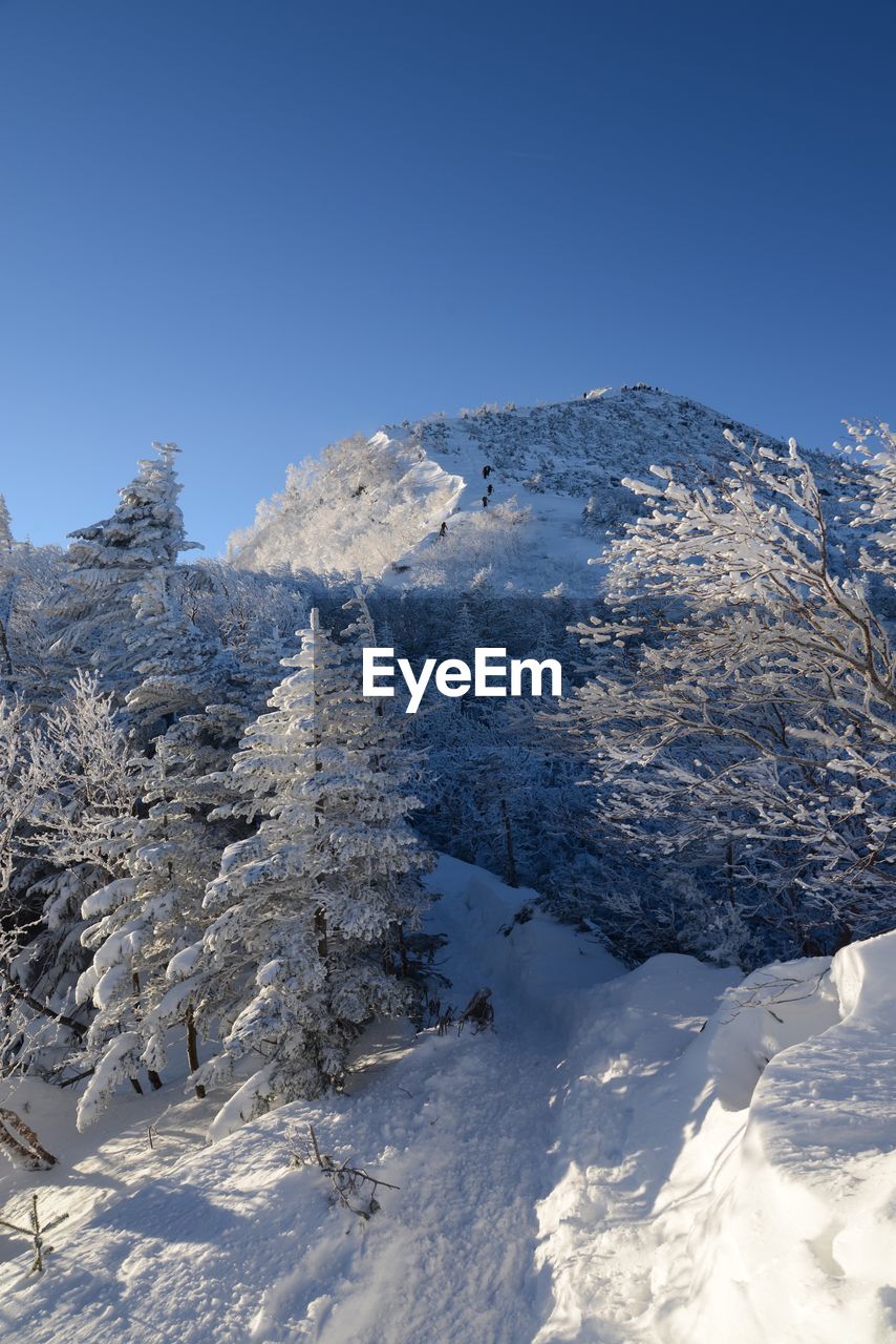 SNOWCAPPED MOUNTAIN AGAINST CLEAR BLUE SKY