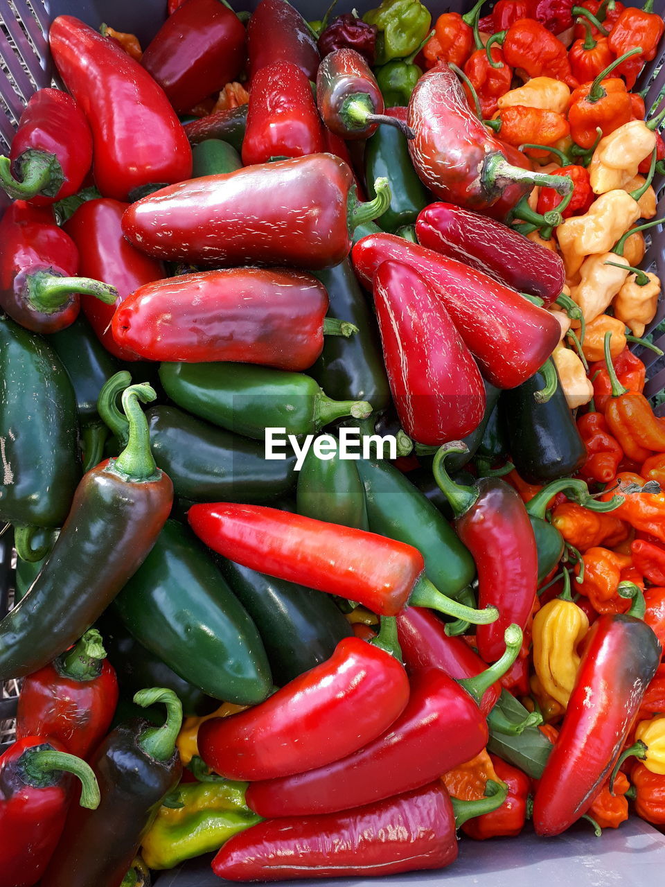 Full frame shot of vegetables in market for sale