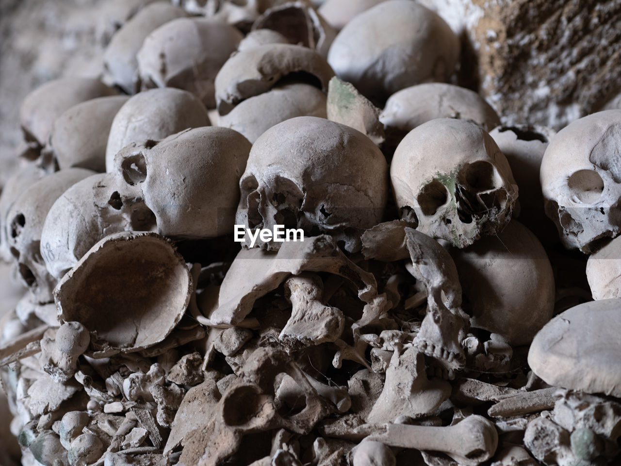 High angle view of skulls