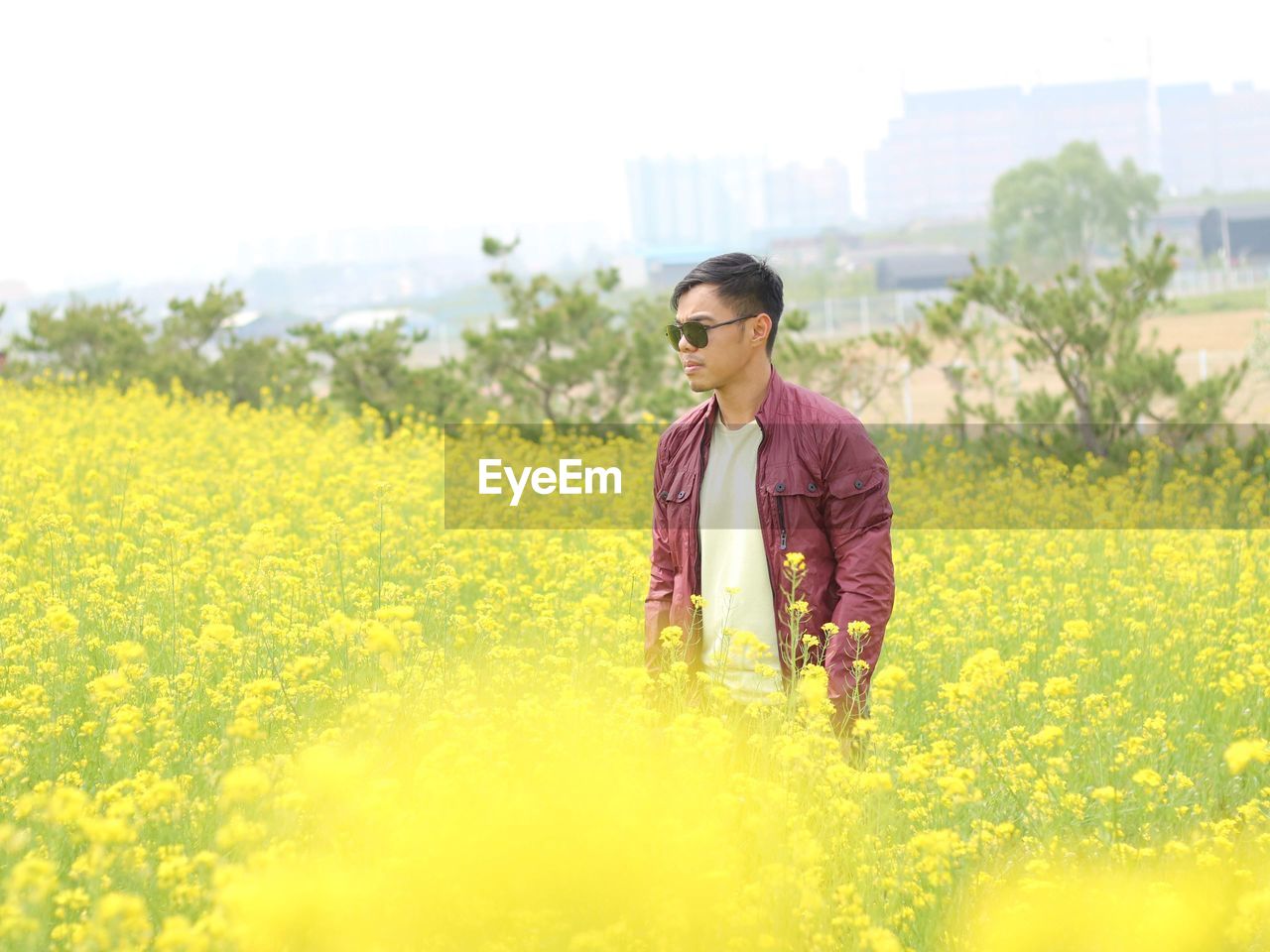 Portrait of young man standing amidst yellow flowering plants on field