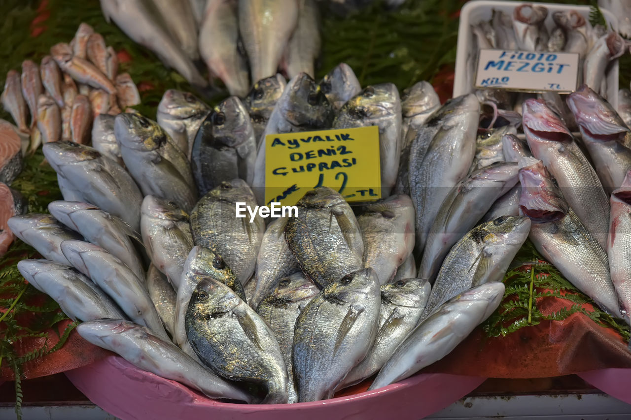 FISH FOR SALE IN MARKET